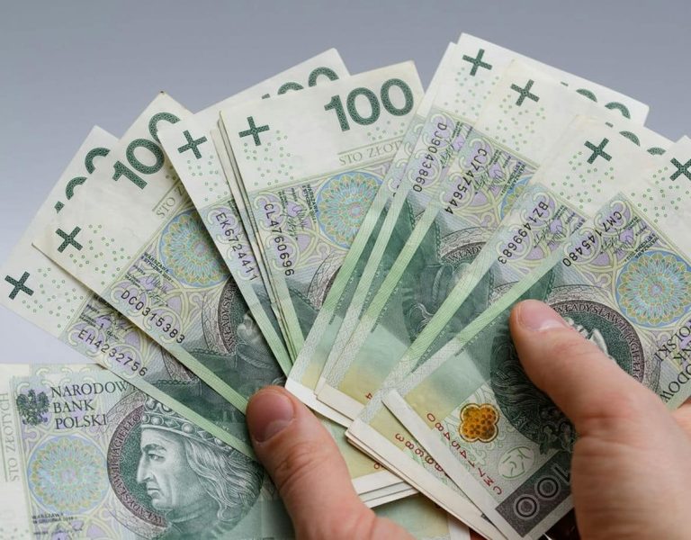 polskie pieniądze w dłoni